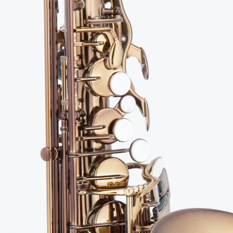 GOLOHO Cañas de saxofón alto para saxofón alto caja de 10 