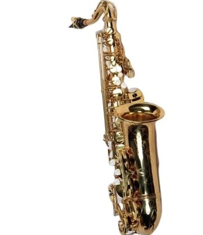 WI-SAA1000-L WISEMANNN JUNIOR ALTO SAXOPHONE, DESIGNED FOR SMALL FINGERS, ADJUSTABLE THUMB REST, EXTRA CURVED NECK, MODIFIED G# KEY, SPATULA FRONT F, HIGH F#, GOLD LACQUER, OUTFIT WITH MOUTHPIECE & CASE